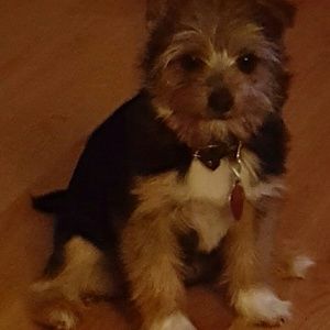 Meet your Posher, Valerie