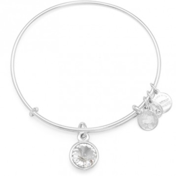 Clear Stone Alex and Ani Charm Bracelet Bangle