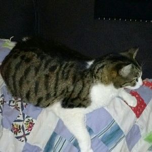 Meet your Posher, Erica