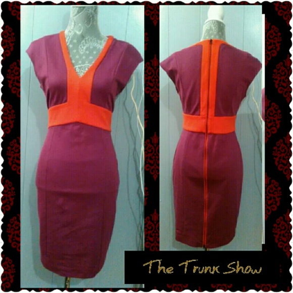 LAST CHANCE! NARCISO RODRIGUEZ PENCIL DRESS  SMALL