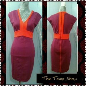 LAST CHANCE! NARCISO RODRIGUEZ PENCIL DRESS  SMALL