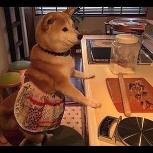 Meet your Posher, Priscilla