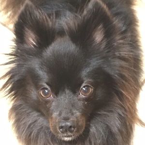 Meet your Posher, Renata