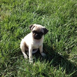 Meet your Posher, Amber