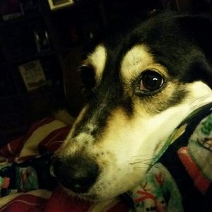 Meet your Posher, Jill