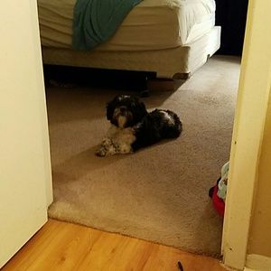 Meet your Posher, Sylvia