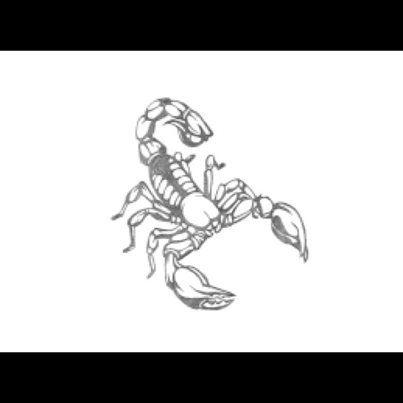 Meet your Posher, Jazmin - Picture 2 of 2