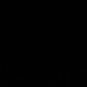 Meet your Posher, Elena