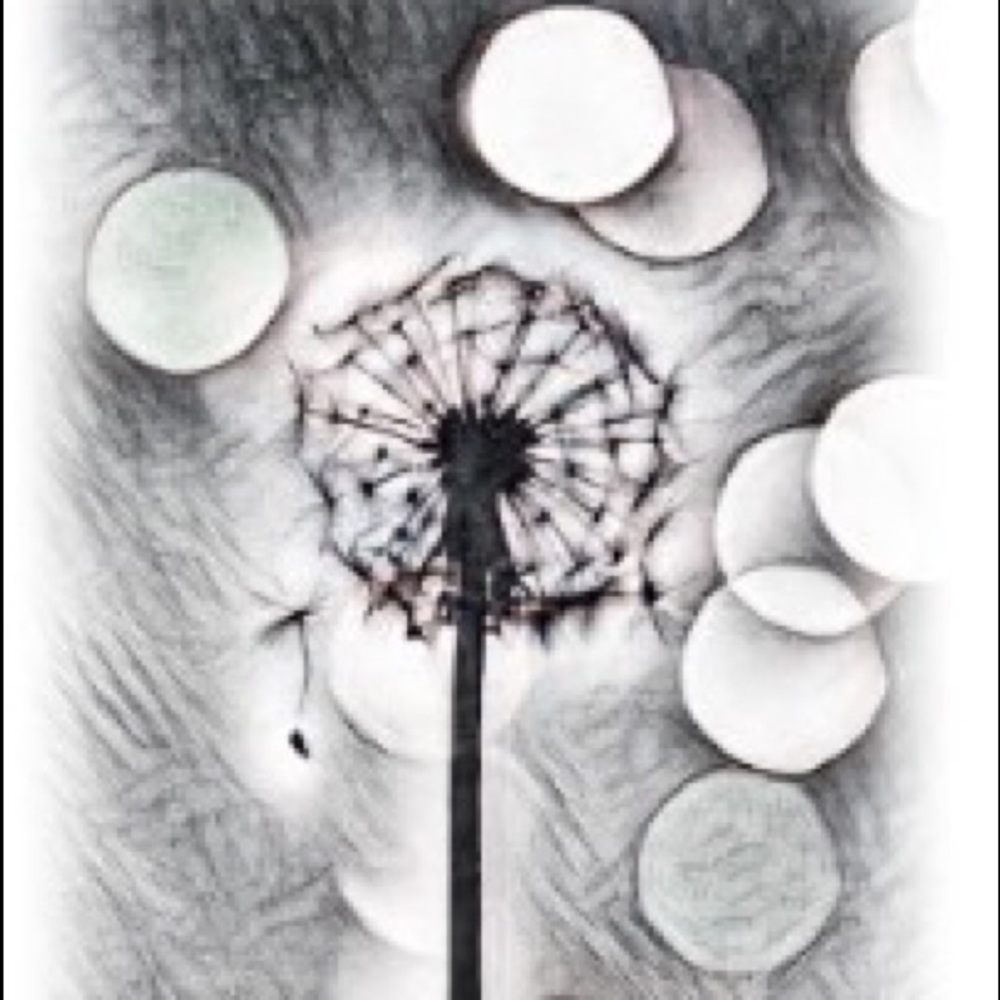 Meet your Posher, Bo!