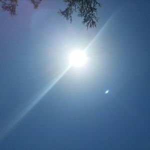 Meet your Posher, Mayra