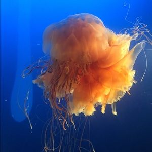 Meet your Posher, Taryn