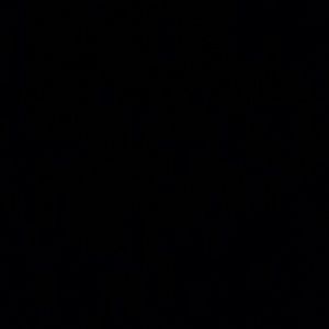 Meet your Posher, Dej