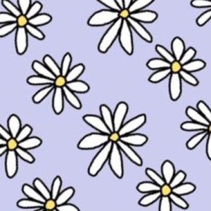 Meet your Posher, Denver