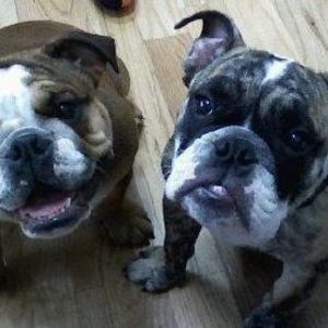 Meet your Posher, Sheila