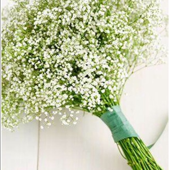 LAST ONE🔹The Babies Breath White Dress - Picture 3 of 4