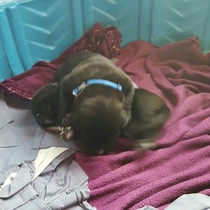 Meet your Posher, Judy