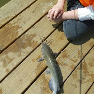 Meet your Posher, Alana