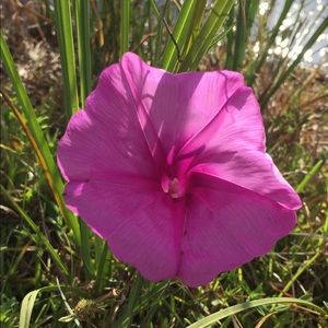 Meet your Posher, Keila