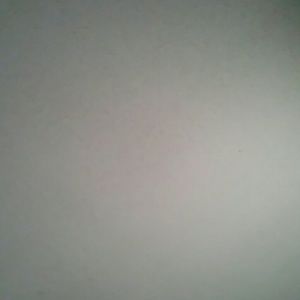 Meet your Posher, Letitia