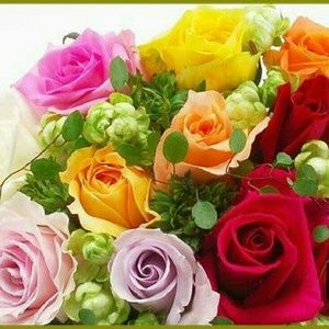 Meet your Posher, Norms