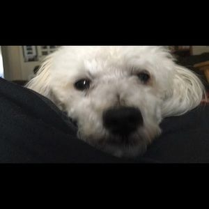 Meet your Posher, Stefanie