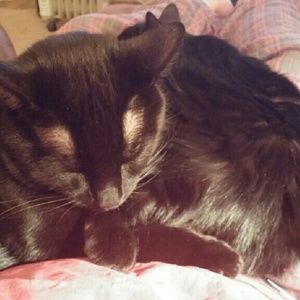 Meet your Posher, Julie