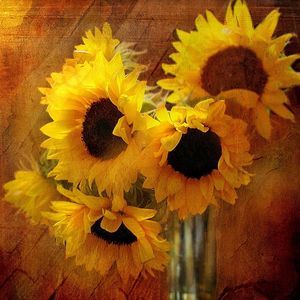 Meet your Posher, Lynn