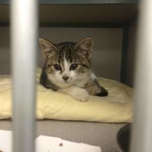 Meet your Posher, Tammy