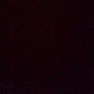 Meet your Posher, Tracey