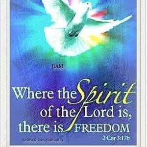 Meet your Posher, Sherry