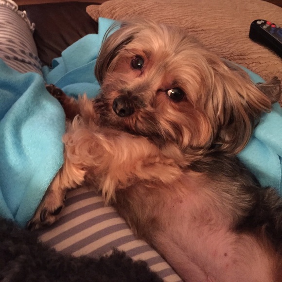 Meet your Posher, Rita - Picture 3 of 8