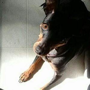 Meet your Posher, Kaitlyn