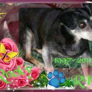 Meet your Posher, Sally ann mull