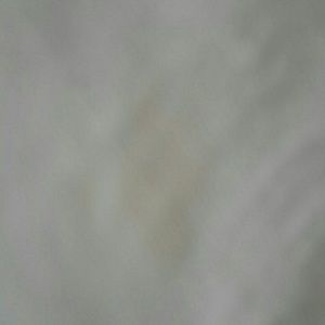 Meet your Posher, Nina