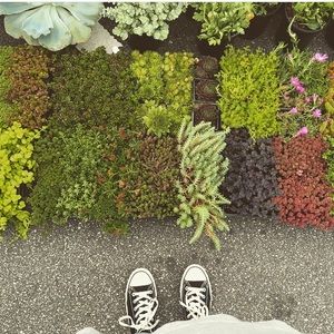 Meet your Posher, Ellen