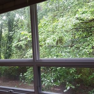 Meet your Posher, Lora