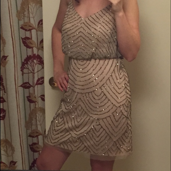 Adrianna Papell Sequin Mess Blouson Dress