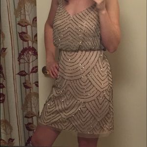 Adrianna Papell Sequin Mess Blouson Dress