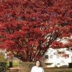 Meet your Posher, Marlyn