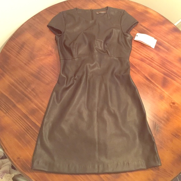 Brand New Zara faux Leather Dress