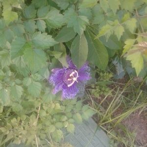 Meet your Posher, Nadia