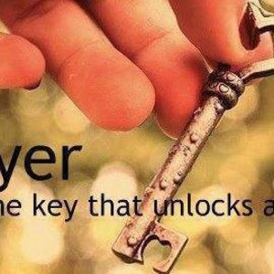 Meet your Posher, Ann