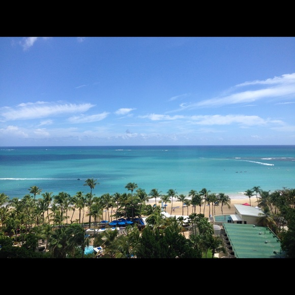 Meet your Posher, Lauren - Picture 1 of 1