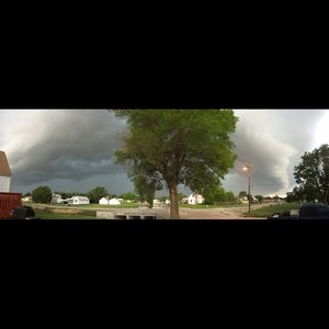 Meet your Posher, Cody