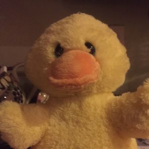 Meet your Posher, Cindy