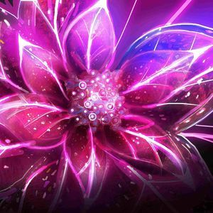 Meet your Posher, Miley