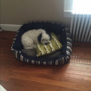 Meet your Posher, Ana