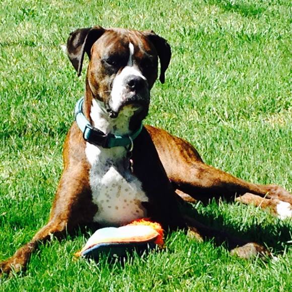 Meet your Posher, Gina - Picture 1 of 1