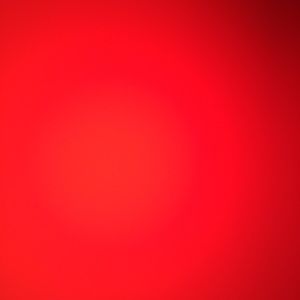 Meet your Posher, Bella