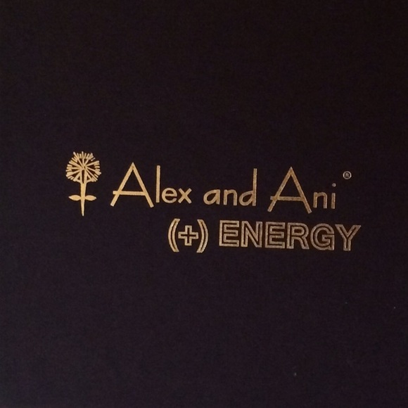 Alex And Ani (+) Energy Bracelet